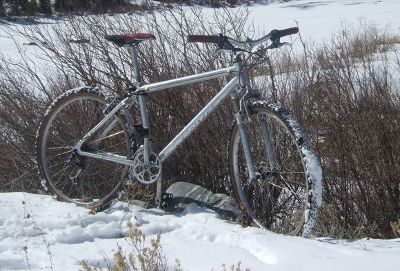 Getting  this one pretty close to looking stock in the wild. Pretty sure on a tight budget and time frame I can get this one looking stock sans decals  and brakes which are nice .