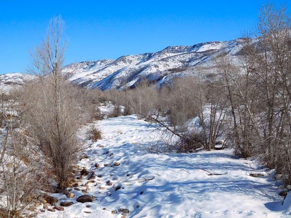 Waterway leading into the wilderness area.  