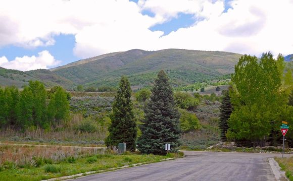 Hillsides are greening up.
