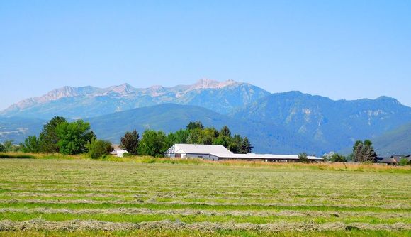 Hay making continues