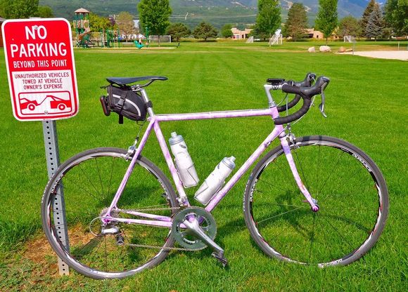 Today's choice of bikes.