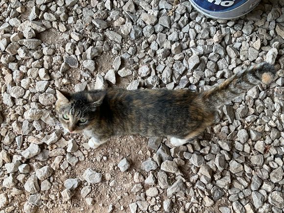 You will pay human just you wait! lol …