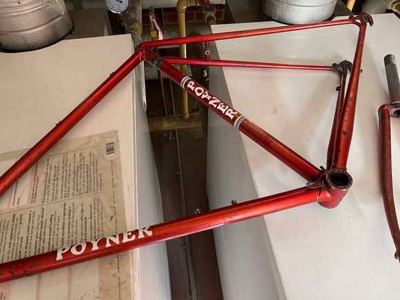 Rescued Poyner from scrap man