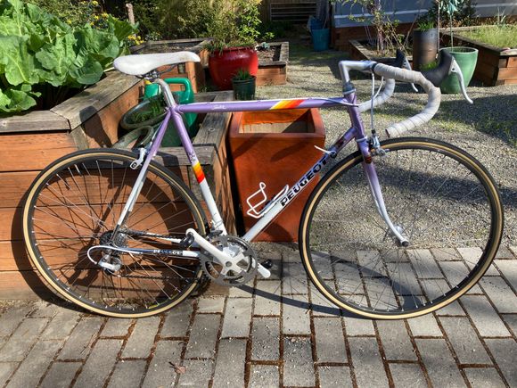 Edited to add a photo of the bike as I have set it up. Terry saddle (which I need to clean, ahem) and Speedplay Frog pedals.