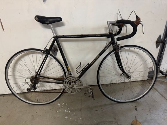 21 1/2” CTT with 55cm TT