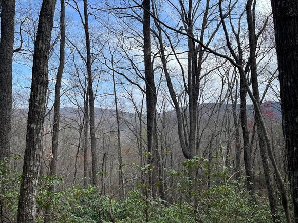 Nice early spring views still