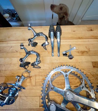 Brake levers have perfect pliable hoods!!