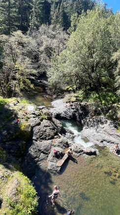 Descending through a redwood grove near the return to Nicasio starting point.
