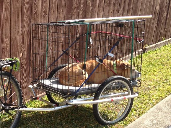 Pet hauling mode.