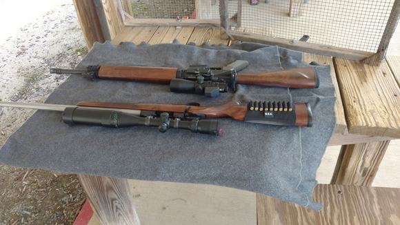 Nice pair of 223s   