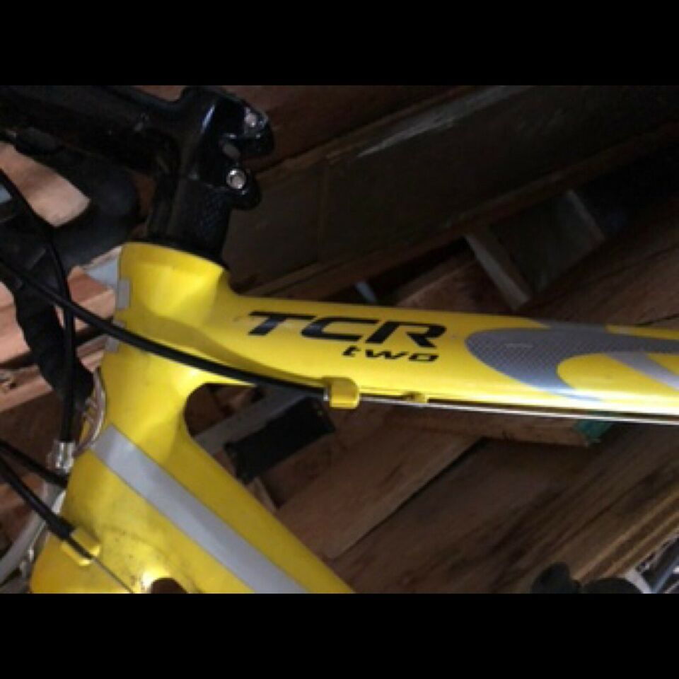 Giant cheap tcr two