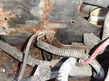 Under the battery box on the core support.