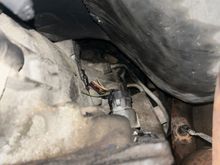 Female end leads that got burnt up. Will remove once I know what parts to order
