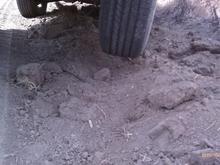 wheel off of the ground, flex1