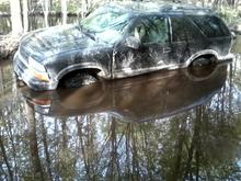 i guess when my friends told me they went out and dug out the holes i shouldve believed them