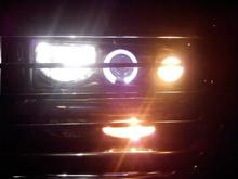 Halo Projector Headlights