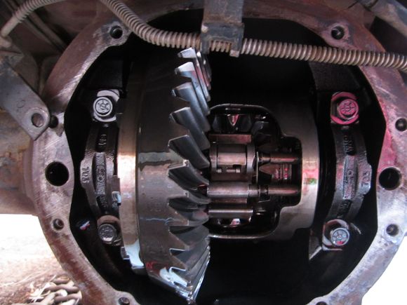 The expanding tangs.