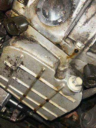 Oil pan/tranny from behind