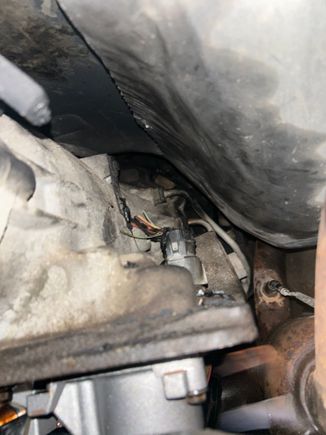 Female end leads that got burnt up. Will remove once I know what parts to order