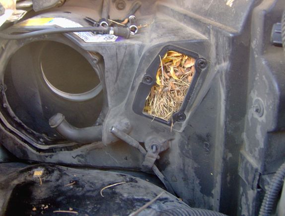 The blower motor would be placed in the hole on the left.