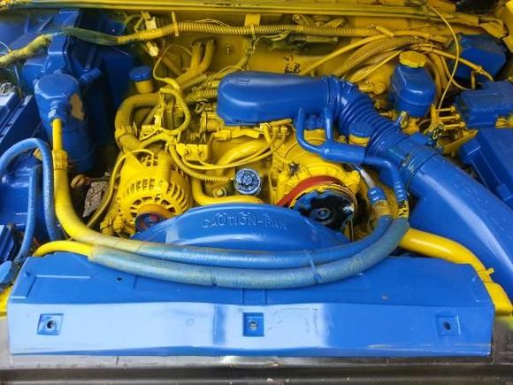 True Blu on Sun Yellow