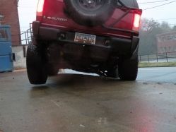 flex rear