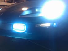 white turn signals(cell pic)
