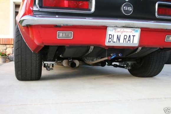 BLOWN RAT