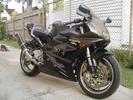 2003 CBR 954RR