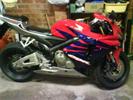 standard cbr600rr5