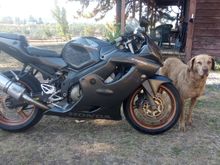 2002 needs nothing.  Track ready or daily ride.
https://www.facebook.com/marketplace/item/432198692549195/?mibextid=dXMIcH
full ad here
 Located 60mi east of Portland off I 84
$3300