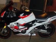 CBR600 Profile