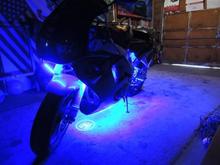 1995 CBR 900RR