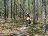 Working the trail