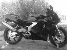 20091127091