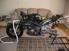 Stripped