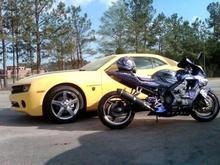 shockwave vs bumblebee cbr