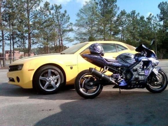 shockwave vs bumblebee cbr