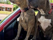 My Chevy Copilots