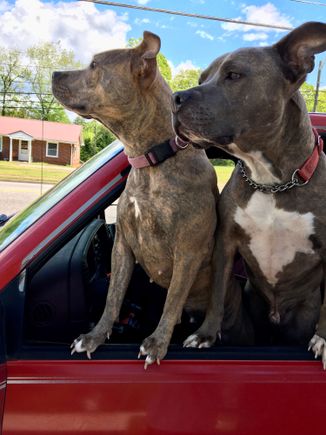 My Chevy Copilots