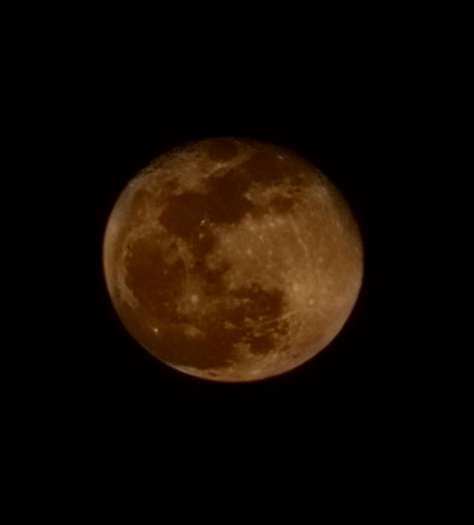 My wife took this picture this evening with her cell phone camera set on 