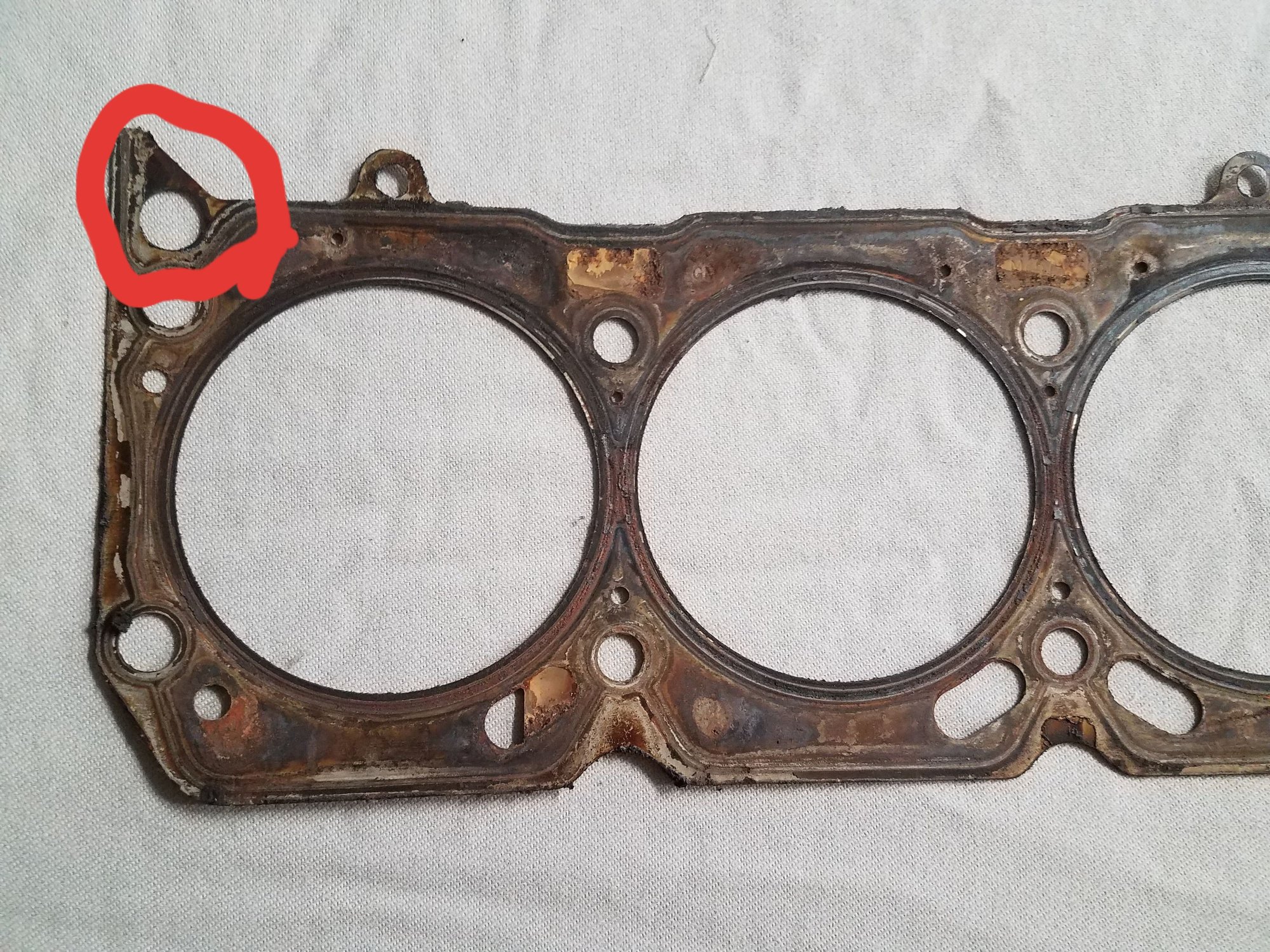 Oil leak head gaskets?
