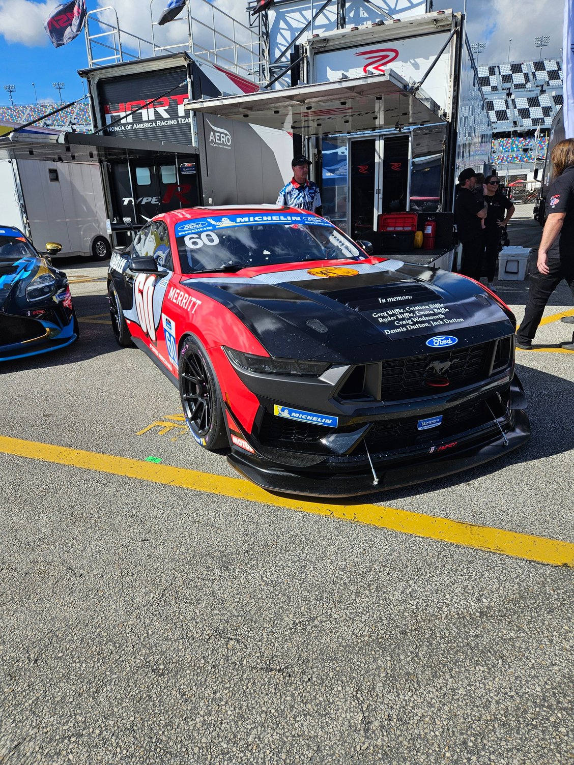 One of the Mustangs