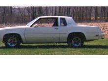 '83 Cutlass side

Was a sharp looking car - but with a V6, it was slow as a turtle. This was my drive to church or go on a date car. I have a '82 Cutlass without the dog house just waiting for one of my 455s to be dumped in...or maybe crushed.