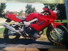 vtr1000- had this for 5 years ,month after I paid it off
had a NEW driver hit me and wrote it off! Broke my ankle and separated shoulder,no more bikes for now.