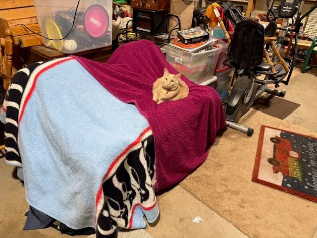 So for now, these parts will rest in the basement.  Covered them well, because the cats may mistake them for new scratching posts.   I now have everything needed to do a complete new interior.  I will likely leave it sit until the exterior bodywork is done.  May temp install the front seat for a fall drive.  