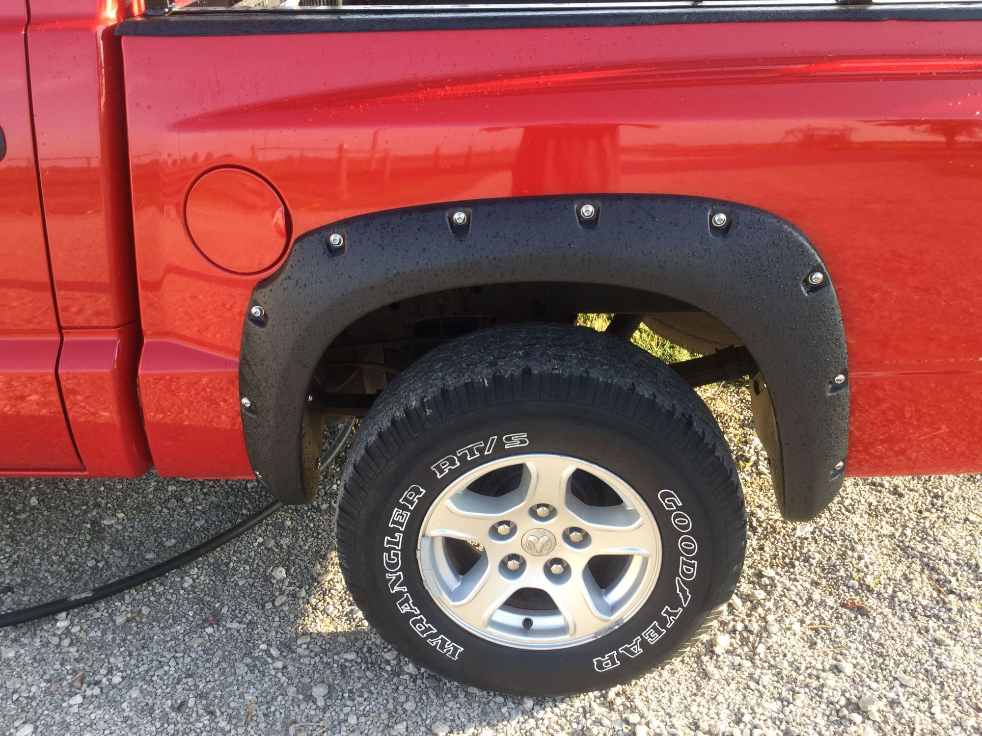 Fender flares "psi"