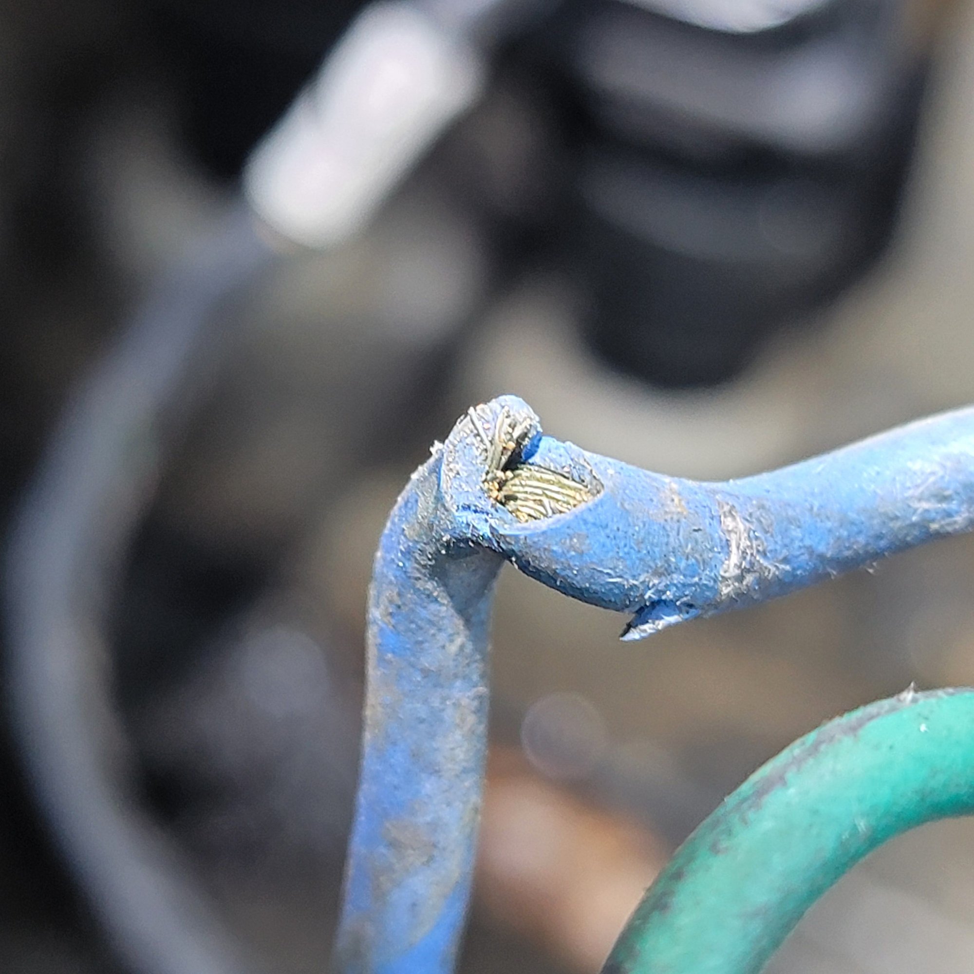 Where one of the previous owners, mechanic was checking for power ? Whom ever almost severed the wire. Then I noticed this----->