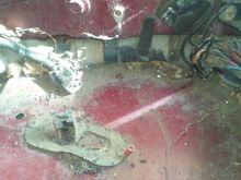 The nest was right here. You can see the bundle of ground wires they chewed through.
