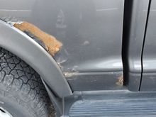 Rust i plan to cut out and glue in metal behind.. Then use bondo to smooth itbout for paint